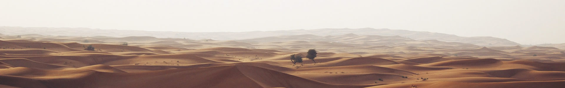 ɽʢ޹˾